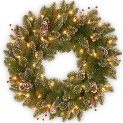 24 in. Pre-Lit Glittery Mountain Spruce with LED Lights