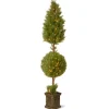 72 in. Pre-Lit Juniper Cone and Ball Topiary Tree in a Black Square Pot with Clear Lights