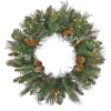 30 in. Pre-Lit North Conway Wreath with Clear Lights