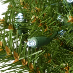 36 in. Pre-Lit Norwood Fir Memory Shape Wreath with Clear Lights