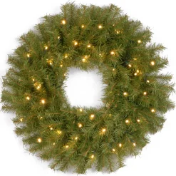 24 in. Pre-Lit Norwood Fir Wreath with Twinkly LED Lights