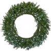48 in. Pre-Lit Norwood Fir Wreath with Multicolor Lights