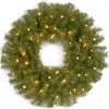 30 in. Pre-Lit Norwood Fir Wreath with Twinkly LED Lights