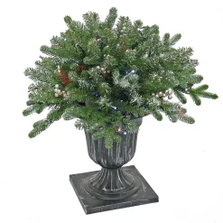 24 in. Pre-Lit Snowy Morgan Spruce Porch Bush with Twinkly LED Lights