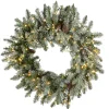 24 in. Pre-Lit Snowy Morgan Spruce Wreath with Dual Color LED Lights