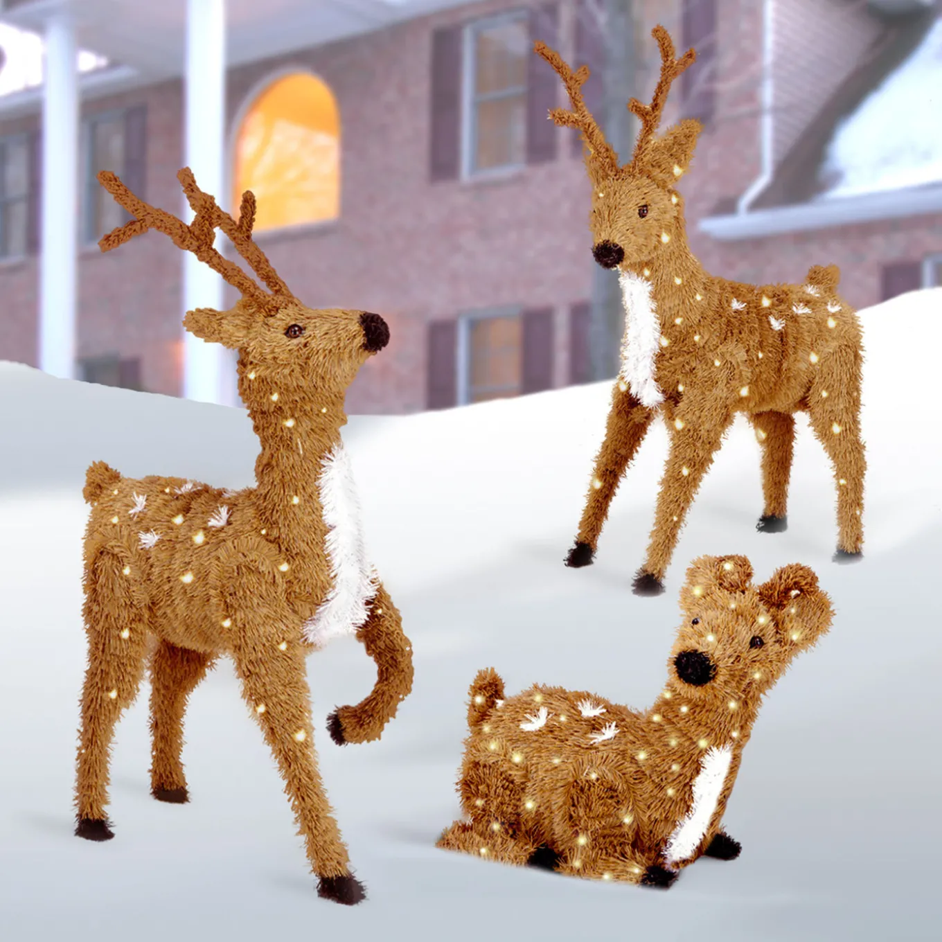 24 in. Resting Reindeer with Clear Lights