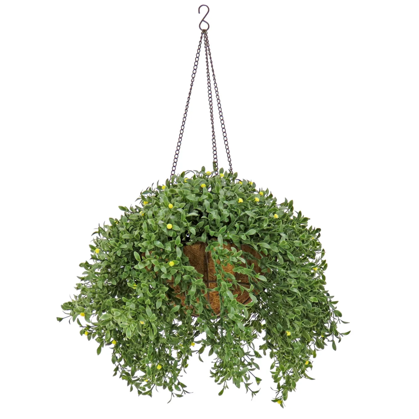 18 in. Spring Argentea Hanging Plant with Yellow Flowers