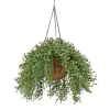 18 in. Spring Argentea Hanging Plant with Pink Flowers