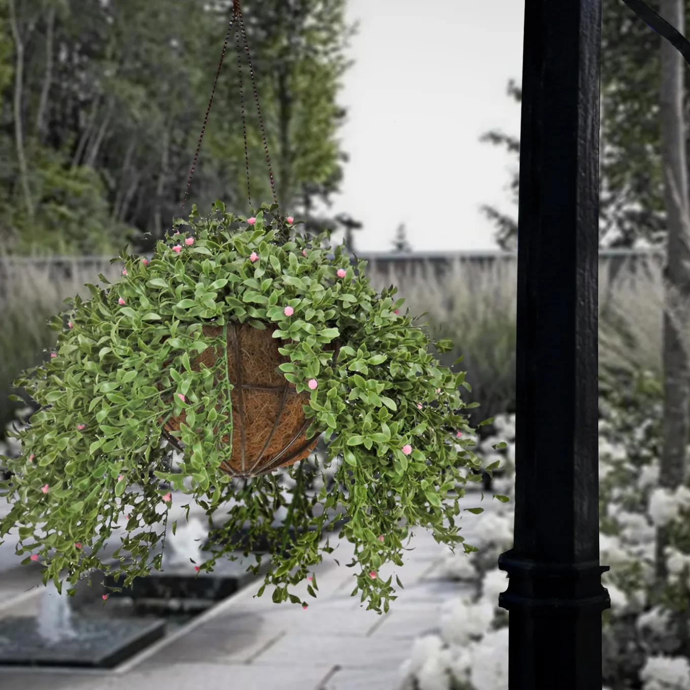 18 in. Spring Argentea Hanging Plant with Pink Flowers