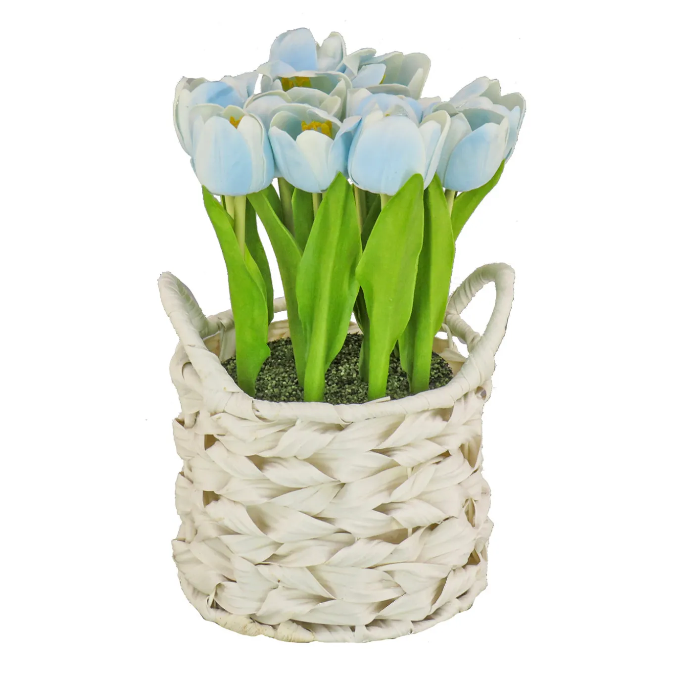 10 in. Spring Blue Tulip Bouquet in Metal Pot