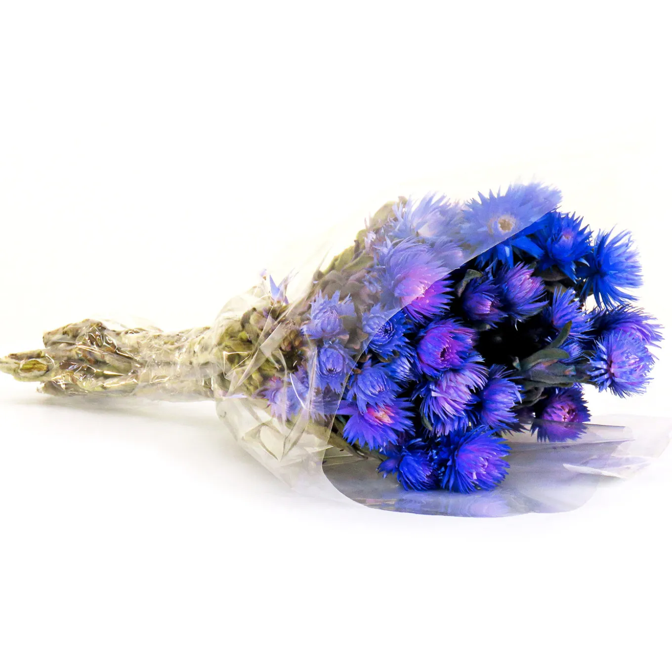 16 in. Spring Dried Blue Capeblumen Flowers Bouquet