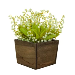 10 in. Spring Green Lily-of-the-Valley Flowers in Wood Box