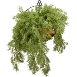 20 in. Spring Green Pine Branch Wall Basket