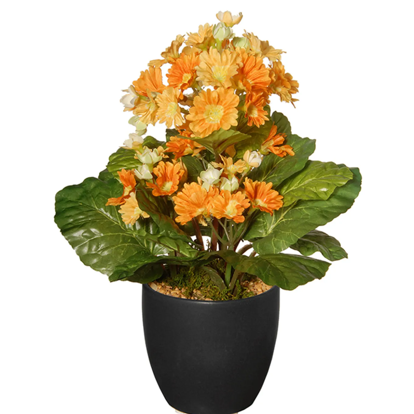 12 in. Spring Orange Flower Blooms Potted Plant in Black Ceramic Pot