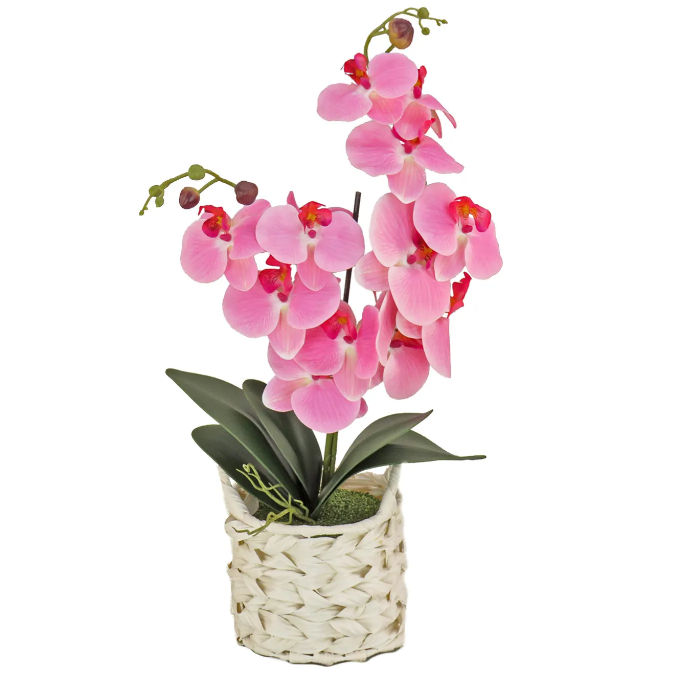 21 in. Spring Pink Orchid in White Basket