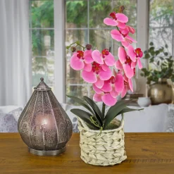 21 in. Spring Pink Orchid in White Basket