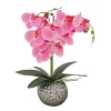 21 in. Spring Pink Orchid in Silver Smooth Ceramic Pot