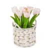 10 in. Spring Pink Tulip Bouquet in White Basket