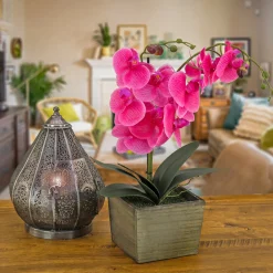 21 in. Spring Purple Orchid Flower in Wood Box