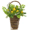 21 in. Spring Wall Hanging Basket with Lemons, Seed Pods, Leafy Greens