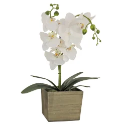 21 in. Spring White Orchid Flower in Wood Box