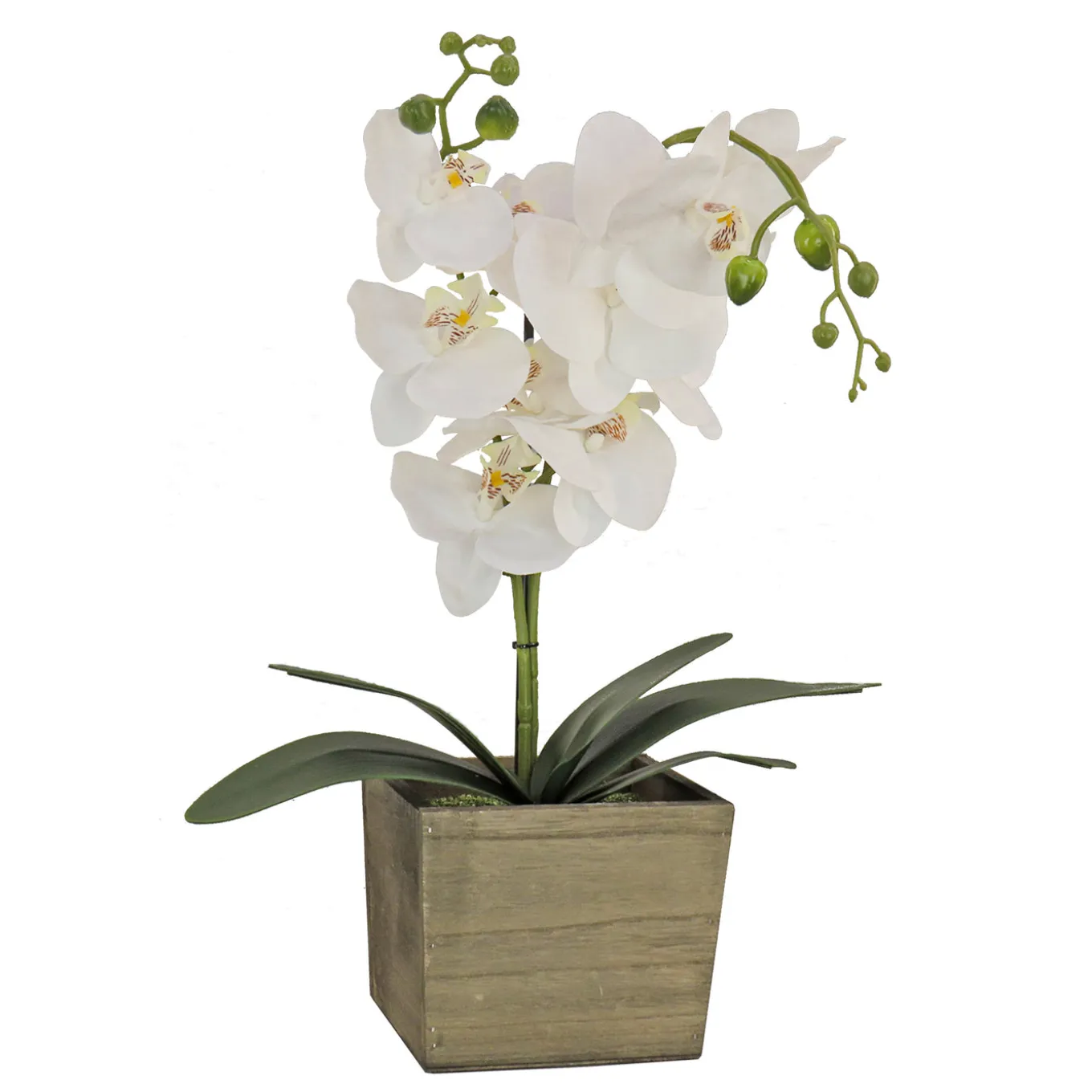 21 in. Spring White Orchid Flower in Wood Box