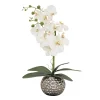 21 in. Spring White Orchid in Silver Smooth Ceramic Pot