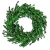 18 in. Spring Wreath with Boxwood Flowers, Flowing Green Stems