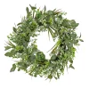 22 in. Spring Wreath with Eucalyptus Leaves, Flowing Green Stems
