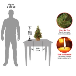 18 in.Everyday Collection Tree