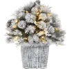 22 in.Pre-Lit Snowy Chiwaw Basin Tree with LED Lights
