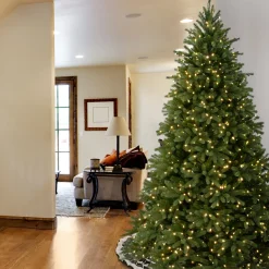 9ft. Pre-Lit Jersey Fraser Fir Tree with Clear Lights
