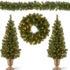 Pre-Lit Evergreen Assortment Set of 2 Entrance Trees, 1 Wreath, 1 Garland