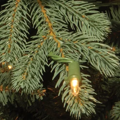 Replacement Soft White Low Voltage LED Bulbs in Bag