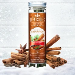 Scented Ornaments, 2-Pack- 6ct Bottle, 2 Dashes of Cinnamon, Fragrance-Infused Paper Sticks