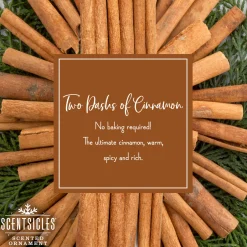 Scented Ornaments, 2-Pack- 6ct Bottle, 2 Dashes of Cinnamon, Fragrance-Infused Paper Sticks