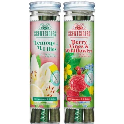 Scentsicles, 6pc Stick, 1 Lemon 'n Lilies/ 1 Berryvines & Wildflowers- 2 pack
