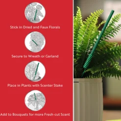 Scentsicles, 6pc Stick, 1 Sun-Soaked Lavender/1 Into the Vanilla Woods- 2 pack