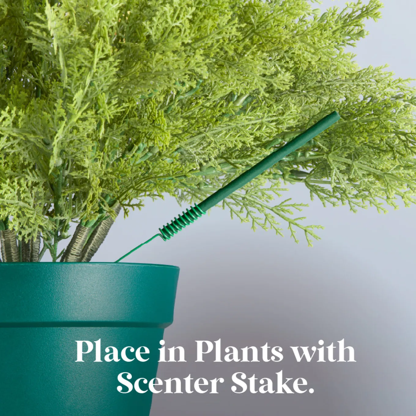 Scentsicles, 6pc Stick, Snowberry Pine - 2 Pack