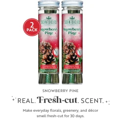 Scentsicles, 6pc Stick, Snowberry Pine - 2 Pack