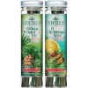 Scentsicles, 6pc Stick, White Winter Fir & O Christmas Tree- 2 Pack