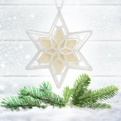 Scentsicles, Scented Star Ornament, White Winter Fir, 2-Pack